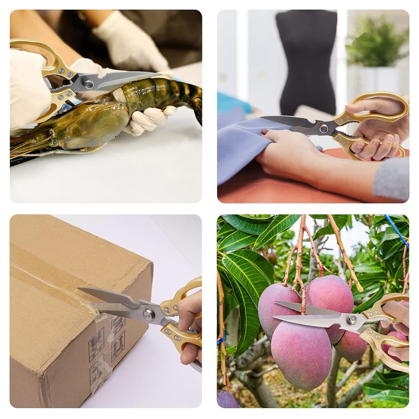 Wishbox™ Heavy Duty Multipurpose Shears
