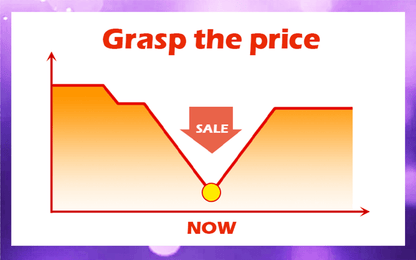 🌸🌸【7 Days Germination】Last Day Sale - 49% OFF💐The Sacred Bonsai Bowl Lotus Flower